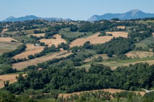 Campagna2