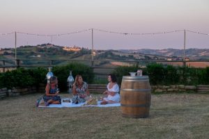 Degustazioni in cantina